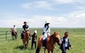 内蒙古白音锡勒牧场:“中国马都”要做网红,流量带来新生活