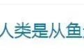 热搜第一!我国科学家证实人类是从鱼进化来的!关键证据是……