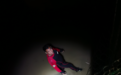 躲过声呐,逃出围网,对人攻击!“怪鱼”被捕获细节曝光