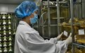 华腾生物获数千万A轮投资