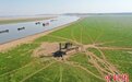 中国最大淡水湖千年石岛“水落墩出”