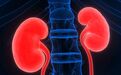 尿毒症知晓率仅有10%?提醒:身上2处发臭,或是肾脏在求救