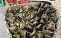 端午粽飘香 成都粽子一条街上“90后”与90后都很忙