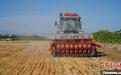 新疆兵团示范试验麦后复播大豆免耕精播滴灌技术