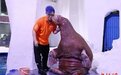 海象“艾米”“落户”南京海底世界