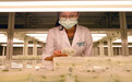 国投集团加速布局生物育种产业