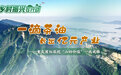 乡村振兴在行动|一滴茶油长出亿元产业——重庆酉阳深挖“山的价值”一线观察