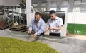 品茶访“友”喜看泸州乡村新变化 ——邮储银行泸州市分行“贷”动乡村振兴路