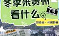 【冬游贵州·黔西南篇】围炉煮茶、露天烧烤、花海秘境、森林氧吧、野钓竞技|多项精彩文旅活动优惠政策迎客