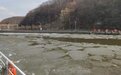 松花江大顶子山航电枢纽船闸航道破冰作业完成