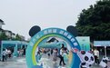 “迎大运 看熊猫”:百万消费券邀你游熊猫老家