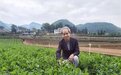 贵州蔬菜热销粤港澳大湾区