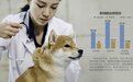 新瑞鹏3年亏损超30亿 宠物医院龙头拟赴美IPO