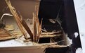 突然爆发!台州一居民家中深受侵害!紧急提醒:我市近期多发