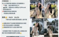 最低只要20元一小时!很多00后开始做“陪拍”,有女生暑假兼职挣一千多…