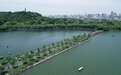 杭州5宗宅地4宗封顶成交:70家房企抢夺钱江新城二期地块