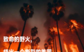 为什么灾难总能成为阴谋论的温床?