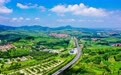 乡村振兴|山东五莲:绿了山 青了水 满了钱袋子