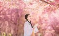 三月花神是桃花
