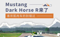 喜欢肌肉车的别错过 Mustang Dark Horse R来了