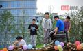 草坪上的音乐节,可以席地而坐、也可躺平