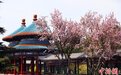 北京天坛公园换上靓丽“春装”邀市民共同守护文化遗产