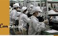 直播间里的招聘,如何改变中国蓝领?