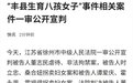 胡锡进:希望地方政府安排好丰县女子和董志民未成年子女的养育