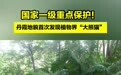 国家一级重点保护!丹霞地貌首次发现植物界“大熊猫”