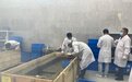 江苏无锡对两座马家浜文化时期的墓葬开展实验室考古探源