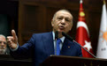 埃尔多安:土耳其议会将决定是否批准瑞典加入北约