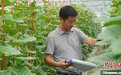 浙江职业农民的育种故事:一粒小种子激活乡村振兴路