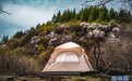 乡村振兴在行动丨露营风起青山秀——吕梁市离石区探索农旅融合振兴路