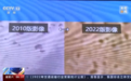 中国人种树有多牛?卫星告诉你