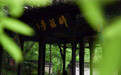 当博物馆的“风景”照进现实