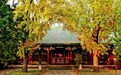 【守望家园】不惑之年再出发——恭王府博物馆创建四十周年走笔