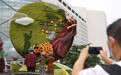 北京:花团锦簇迎国庆