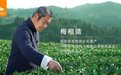 八马茶业选白茶,留得清香存于家
