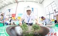 中国17省区71名制茶能手广西侗乡“功夫竞技”