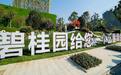 碧桂园9只寻求展期的境内债剩余一只未通过,投票会议已延期三次