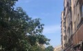 青岛一业主多次投诉小区绿地被圈占,住建部门:可由执法部门恢复