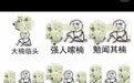 这种花臭得让人脸红,为什么还要大面积种植?