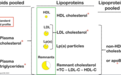 糖尿病患者 LDL-C 和 HDL-C 均达标，还要进行降脂治疗吗？