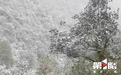 下҈雪҈҈,了!重庆多地迎今冬第一场,雪景走一波