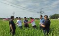 中华财险“早、防、保、慰”工作机制助力农业保障