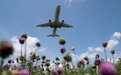航空市场需求强劲!波音空客二季度业绩超预期,计划再提高产能