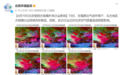 蒙古国牛羊多吃一口草,北京市民就多吃一口沙?
