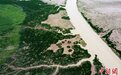 探访国际重要湿地——福州闽江河口湿地