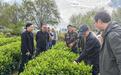 生态低碳茶技术集成示范基地落户西藏易贡茶场
