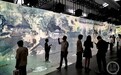 梦回千年!《画游清明上河——故宫沉浸艺术展》礼嘉智慧公园开展